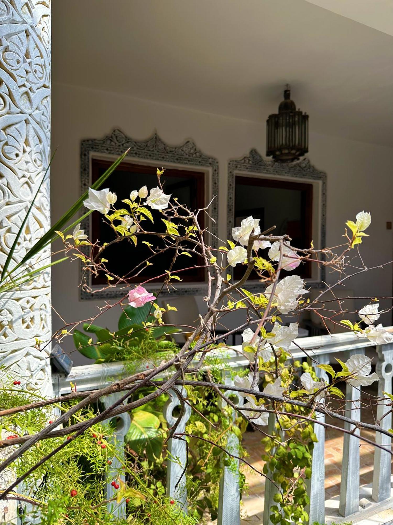 Les Terrasses D'Essaouira - Yoga Studio Exterior photo